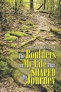 The Boulders in My Life That Shaped My Journey (Paperback)