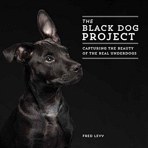 The Black Dogs Project: Extraordinary Black Dogs and Why We Cant Forget Them (Hardcover)