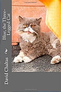 Blue, the Three Legged Cat (Paperback)