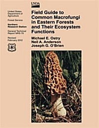 Field Guide to Common Macrofungi in Eastern Forests and Their Ecosystem Functions (Paperback)