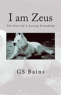 I Am Zeus (Paperback)