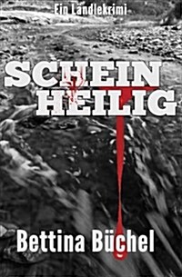 Scheinheilig (Paperback)