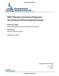 Sba Veterans Assistance Programs: An Analysis of Contemporary Issues (Paperback)