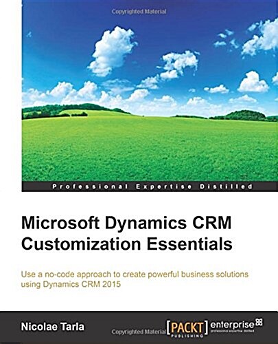 Microsoft Dynamics Crm Customization Essentials (Paperback)