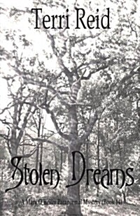 Stolen Dreams - A Mary OReilly Paranormal Mystery - Book Fourteen (Paperback)