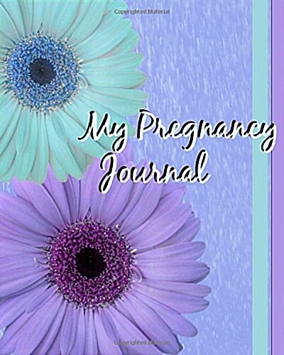 My Pregnancy Journal (Paperback, JOU)