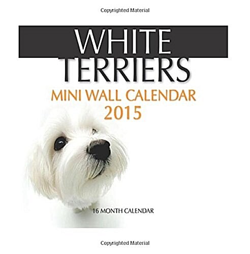 White Terriers 2015 Calendar (Calendar, 16-Month)