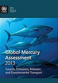 Global Mercury Assessment 2013: Sources, Emissions, Releases and Environmental Transport (Paperback)