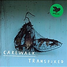 [수입] Cakewalk - Transfixed