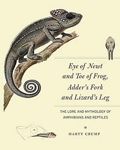 Eye of Newt and Toe of Frog, Adders Fork and Lizards Leg: The Lore and Mythology of Amphibians and Reptiles (Hardcover)
