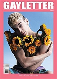 Gayletter: Issue 2 (Paperback)