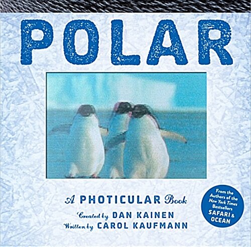 [중고] Polar: A Photicular Book (Hardcover)