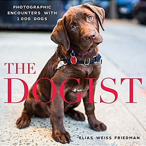 The Dogist: Photographic Encounters with 1,000 Dogs (Hardcover)