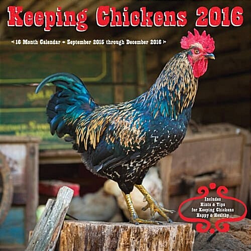 Keeping Chickens (Wall, 2015-2016)