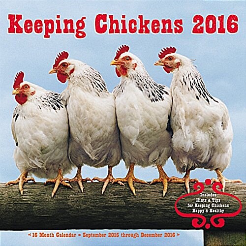 Keeping Chickens (Wall, 2015-2016, Mini)