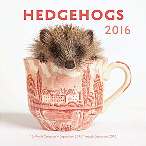 Hedgehogs (Wall, 2015-2016, Mini)