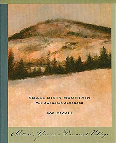 Small, Misty Mountain: The Awanadjo Almanack (Paperback)
