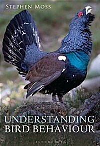 Understanding Bird Behaviour (Paperback)