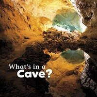 What's in a Cave? (Paperback)