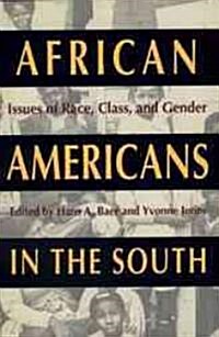 African Americans in the South: Issues of Race, Class, and Gender (Paperback)