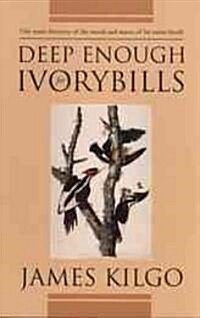 Deep Enough for Ivorybills (Paperback)