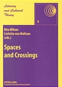 Spaces and Crossings: Essays on Literature and Culture in Africa and Beyond (Paperback)