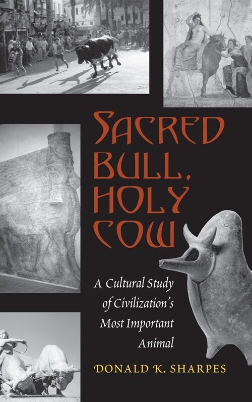 Sacred Bull, Holy Cow: A Cultural Study of Civilizations Most Important Animal (Hardcover)