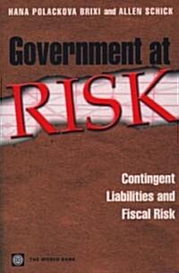 Government at Risk (Paperback)