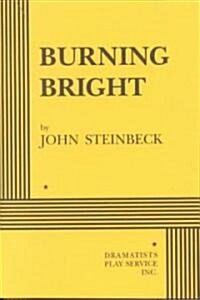 [중고] Burning Bright (Paperback)