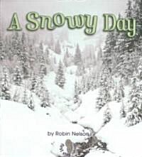 A Snowy Day (Paperback)