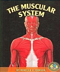 The Muscular System (Paperback)