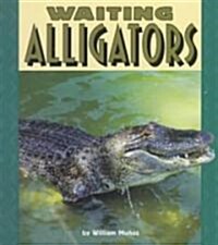 Waiting Alligators (Paperback)