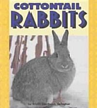 Cottontail Rabbits (Paperback)