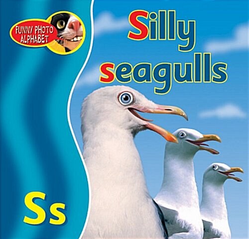 Silly Seagulls (Paperback)