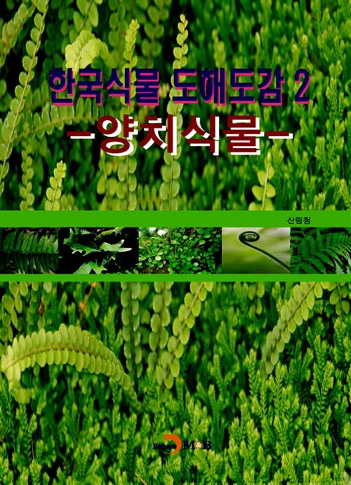 한국식물 도해도감 2 : 양치식물