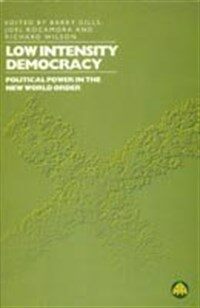 Low intensity democracy : political power in the new world order