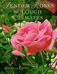 Tender Roses in Tough Climates (Paperback)