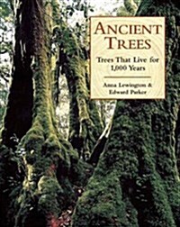 Ancient Trees (Hardcover)