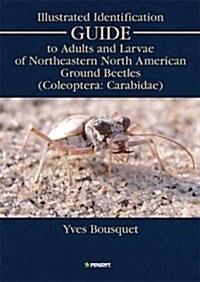 Illustrated Identification Guide to Adults and Larvae of Northeastern North America Ground Beetles (Hardcover)