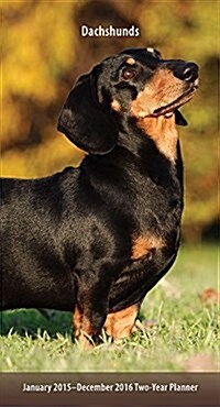 Dachshunds January 2015-December 2016 Two-Year Planner (Paperback)