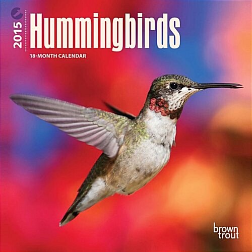 Hummingbirds 18-Month 2015 Calendar (Paperback, Mini, Wall)