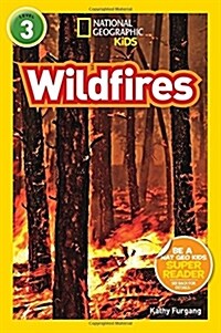 [중고] Wildfires (Paperback)