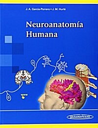 Neuroanatom? humana / Human neuroanatomy (Paperback, 1st)