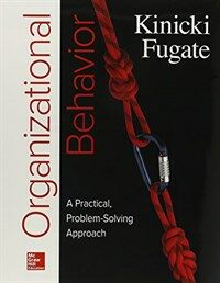 Organizational behavior : a practical, problem-solving approach
