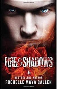 Fire and Shadows (Ashes and Ice #2) (Paperback)