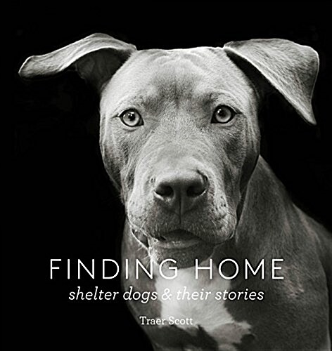 Finding Home: Shelter Dogs and Their Stories (Hardcover)