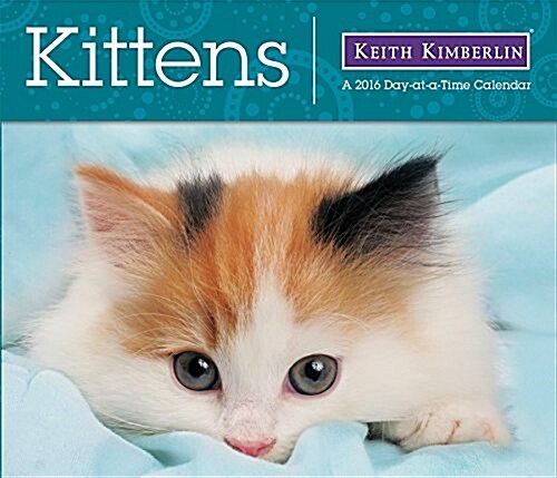 Kittens Day-at-a-time 2016 Calendar (Calendar, BOX)