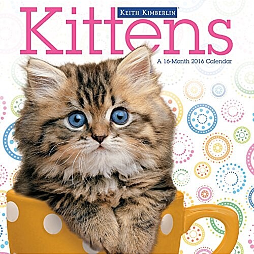 Kittens 2016 Calendar (Calendar, Wall)