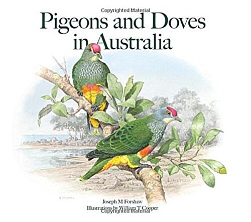 Pigeons and Doves in Australia (Hardcover)