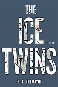 The Ice Twins (Audio CD, Unabridged)